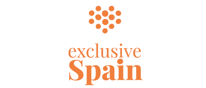 Amigo de la fundación